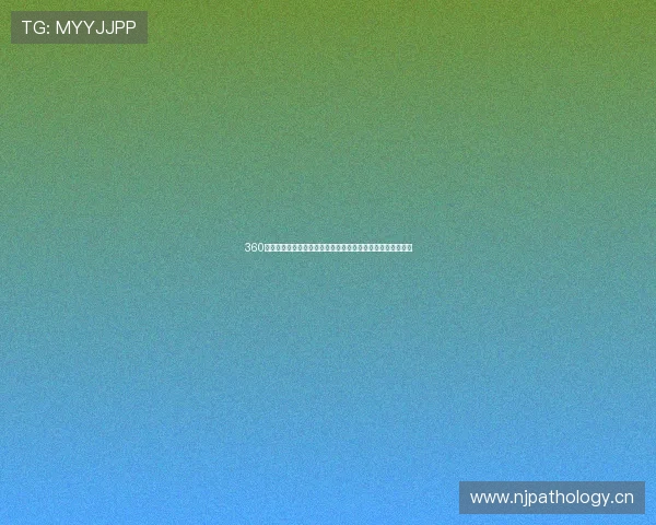 360直播网打造全新体育娱乐赛事高清互动平台用户体验升级服务