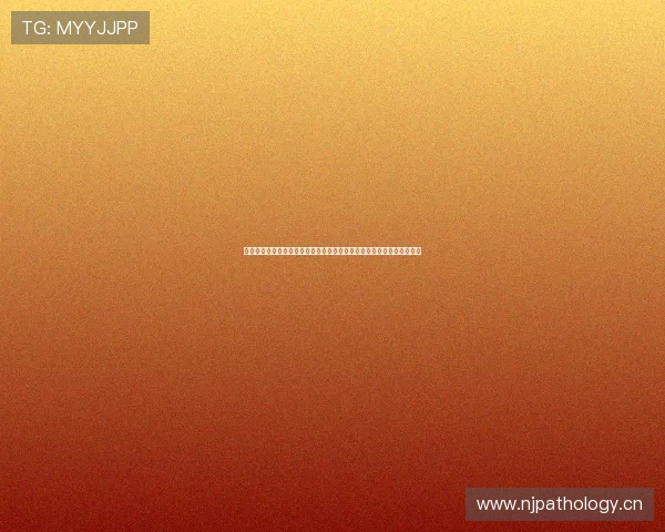 中央八套视频直播全景呈现精彩剧集与文化盛宴全天候权威呈现经典力作