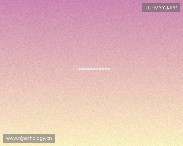 CBA无插件直播网全面升级畅享高清赛事直播体验 CBA无插件直播网全面升级畅享高清赛事直播体验